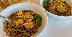 Maine Dayboat scallops with lentils and fennel cream