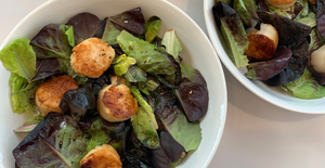 Pan Seared Scallops over Greens with Ginger Citrus Dressing