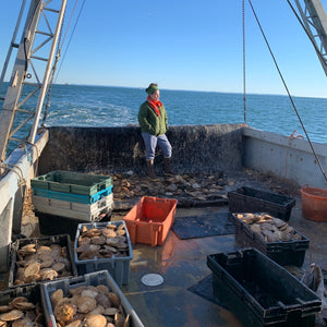 This Maine fishery owner tries to keep an even keel amid volatile scallop prices - APM Marketplace