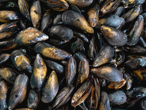 Best Damn Mussels You'll Ever Eat!