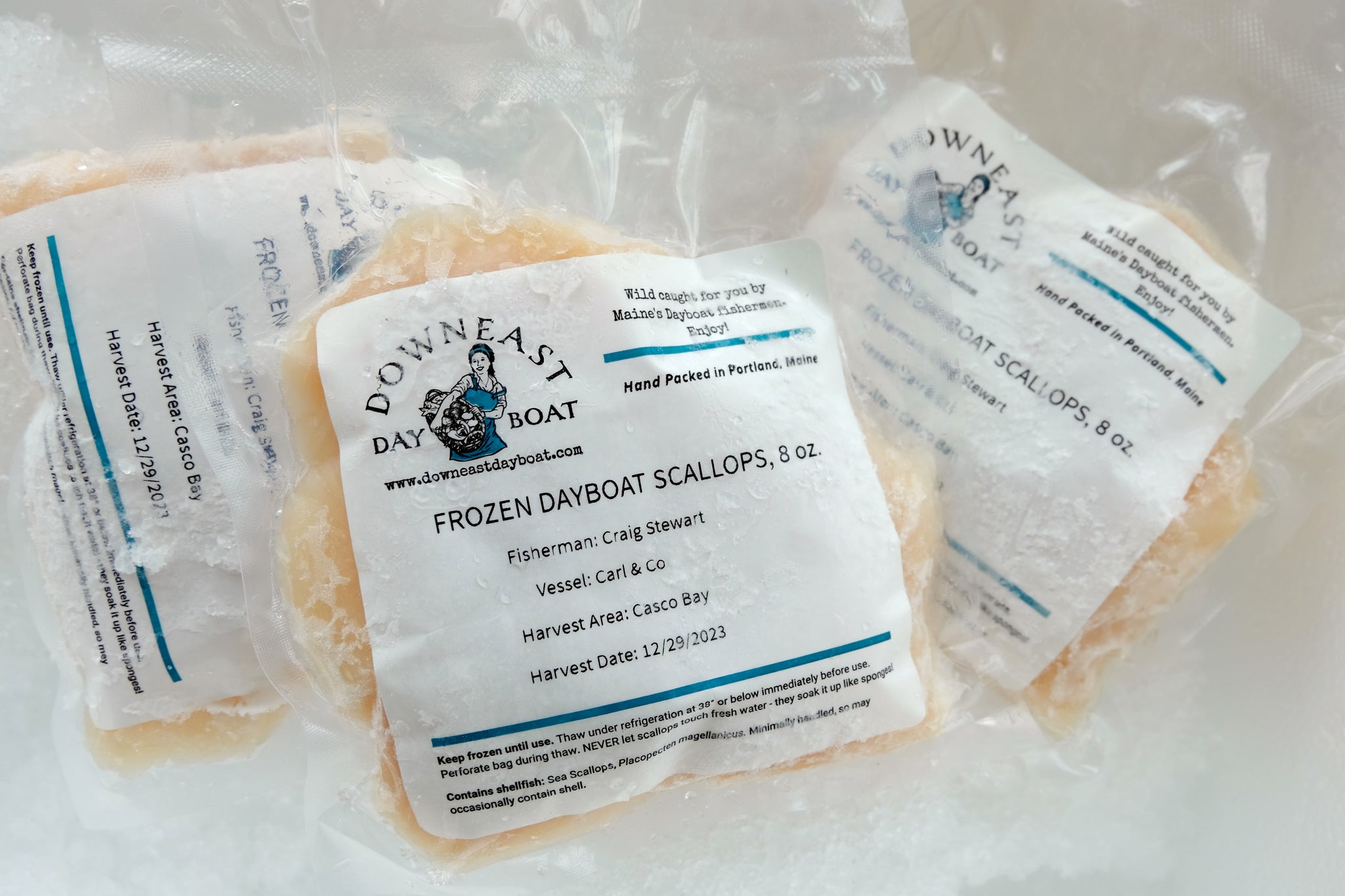 Frozen Maine Dayboat Scallops one pound bag: Wisconsin Women's Club Pickup