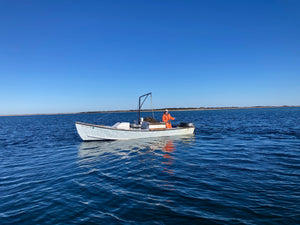 Frozen Nantucket Bay Scallops