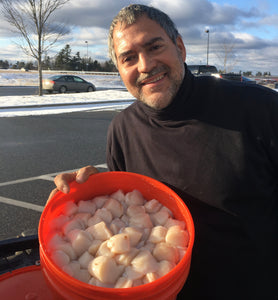 Delicious Maine sea scallops from dayboat fisherman James West