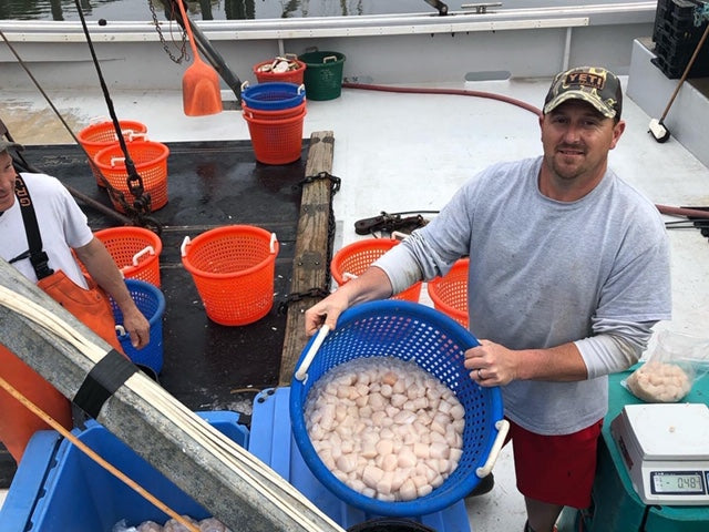 Seafood Handling and Preparation Tips – Downeast Dayboat
