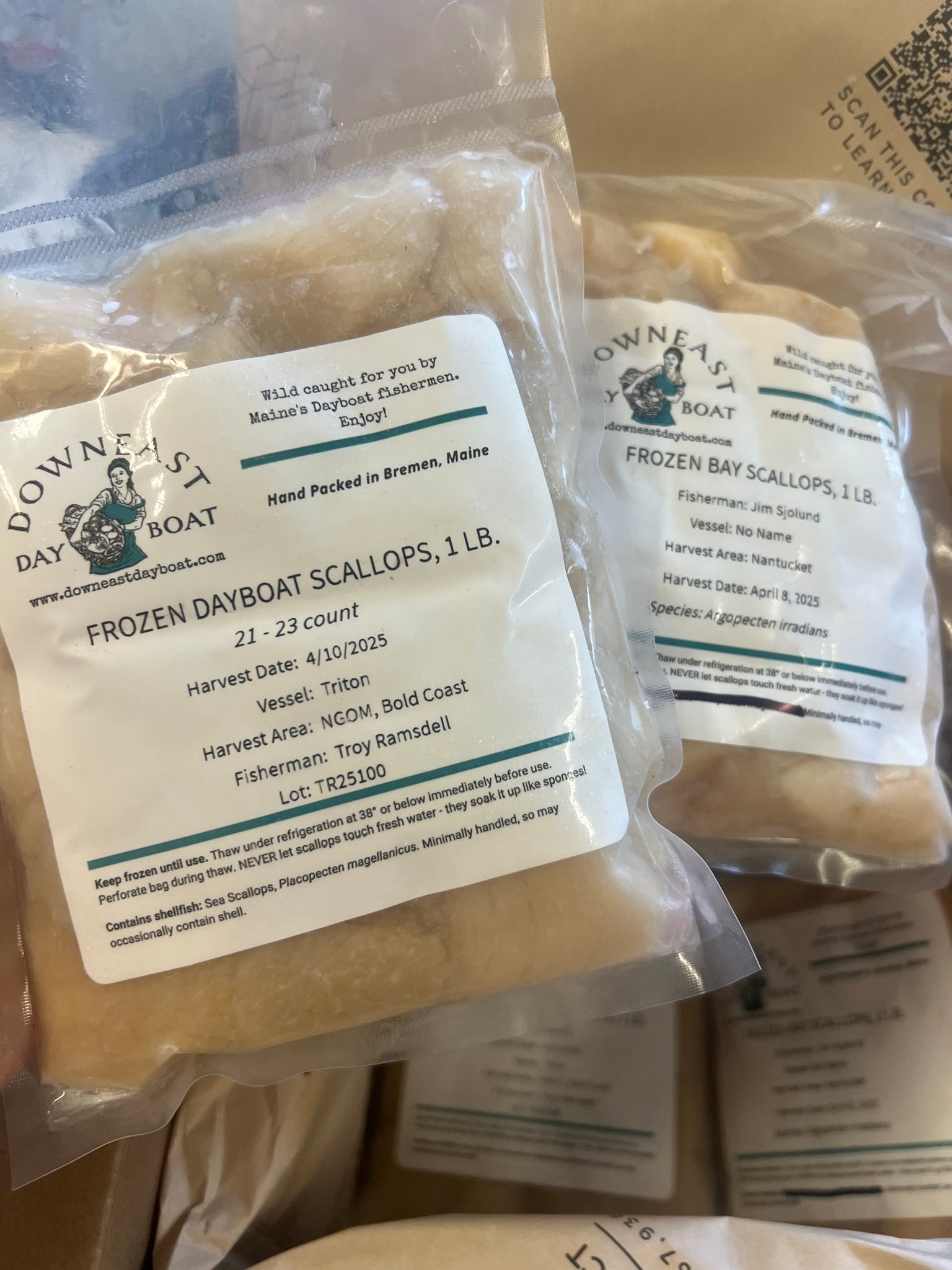 Small but mighty scallop freezer pack