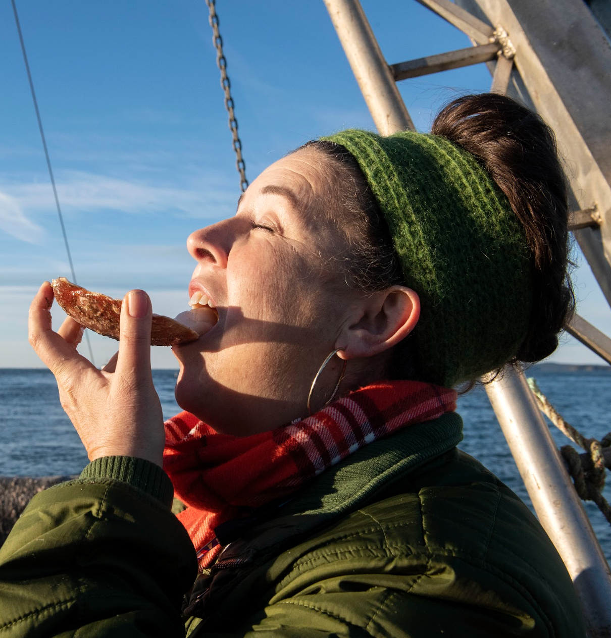 Frozen Dayboat Scallops by the Pound